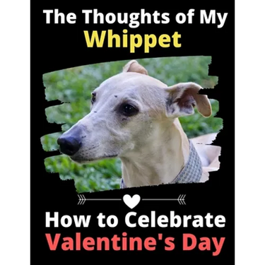 The Thoughts of My Whippet: How to Celebrate Valentine's Day
