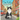 The Kitty: Who Sits Pretty A Rescue Story