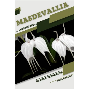 Masdevallia: Closed terrarium, Beginner's Guide