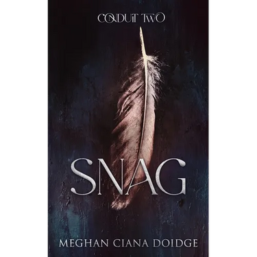 Snag (Conduit 2)