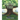 The Wishing Tree