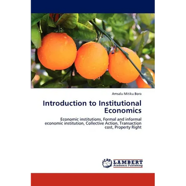 Introduction to Institutional Economics