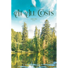 At All Costs: Book 3