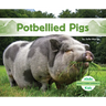 Potbellied Pigs