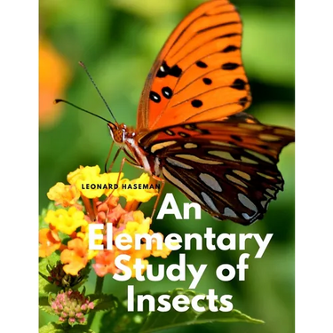 An Elementary Study of Insects