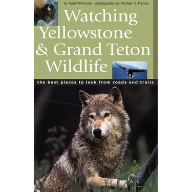 Watching Yellowstone & Grand Teton Wildlife