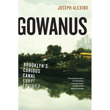 Gowanus: Brooklyn's Curious Canal