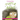 The Turtle With An Afro