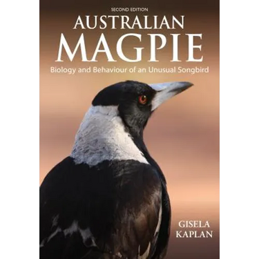 Australian Magpie: Biology and Behaviour of an Unusual Songbird