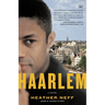 Haarlem