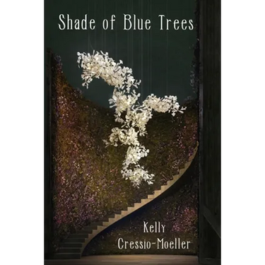 Shade of Blue Trees