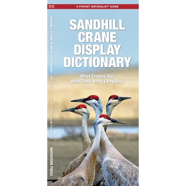 Sandhill Crane Display Dictionary, 2nd Ed: What Cranes Say with Their Body Language