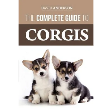 The Complete Guide to Corgis: Everything to know about both the Pembroke Welsh and Cardigan Welsh Corgi dog breeds
