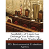 Feasibility of Liquid Ion Exchange for Extracting Phosphate from Wastewater