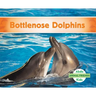 Bottlenose Dolphins