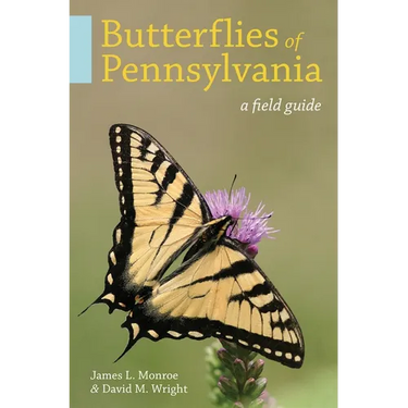 Butterflies of Pennsylvania: A Field Guide