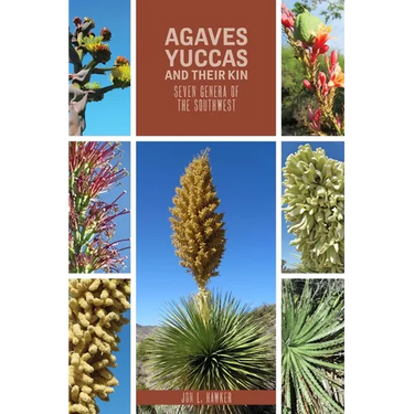 Agaves, Yuccas, and Their Kin: Seven Genera of the Southwest