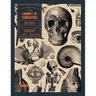 Cabinet of Curiosities