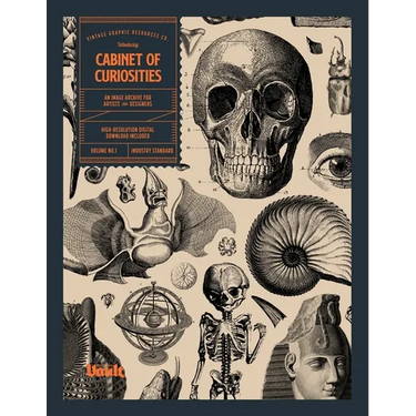 Cabinet of Curiosities