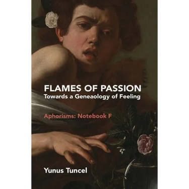 Flames of Passion: Towards of a Genealogy of Feeling Aphorisms: Notebook F