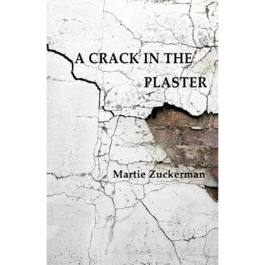 A Crack in the Plaster