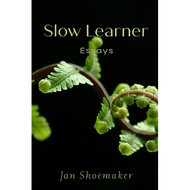 Slow Learner