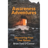 Awareness Adventures: Discovering Your True Nature