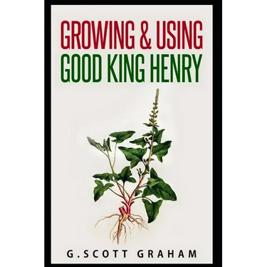 Growing & Using Good King Henry
