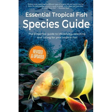Essential Tropical Fish: Species Guide