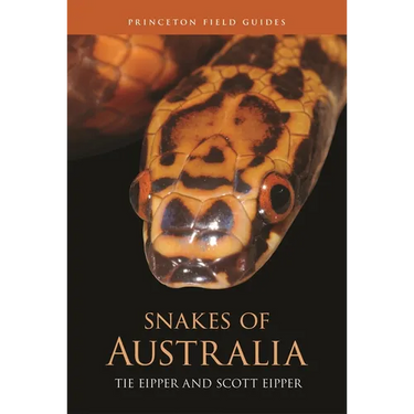 Snakes of Australia
