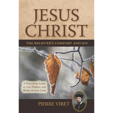 Jesus Christ the Believer's Comfort and Joy: A Practical Look at the Person and Work of our Lord