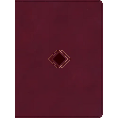 CSB Day-By-Day Chronological Bible, Burgundy Leathertouch