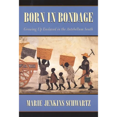 Born in Bondage: Growing Up Enslaved in the Antebellum South