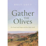 Gather the Olives: On Food and Hope and the Holy Land