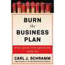 Burn the Business Plan: What Great Entrepreneurs Really Do