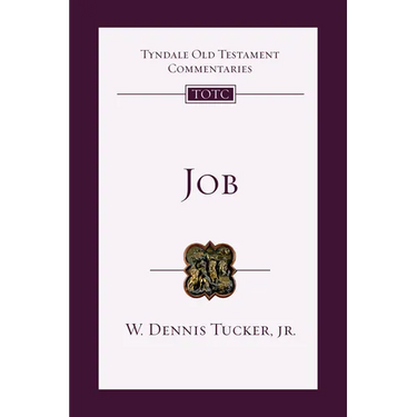 Job: An Introduction and Commentary Volume 14