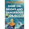 Shine On, Bright and Dangerous Object