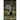 Bear Stalker