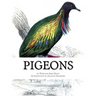 Pigeons: Pigeon Classics Book 9