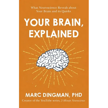 Your Brain, Explained: What Neuroscience Reveals about Your Brain and Its Quirks
