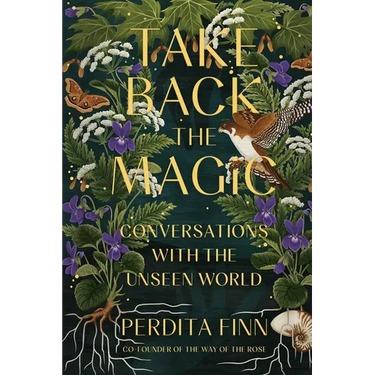 Take Back the Magic: Conversations with the Unseen World