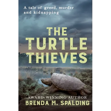 The Turtle Thieves