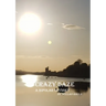 Crazy Daze: A Bipolar Odyssey