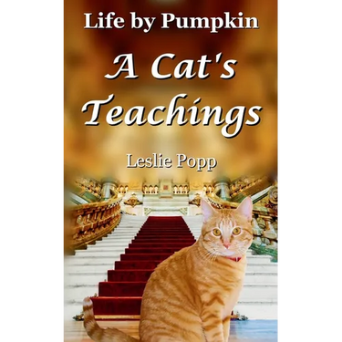 Life by Pumpkin: A Cat's Teachings