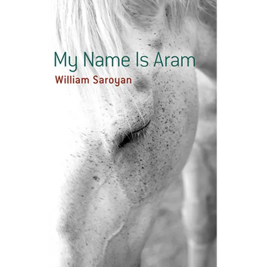 My Name Is Aram