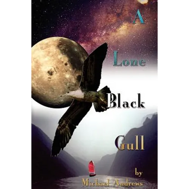 A Lone Black Gull