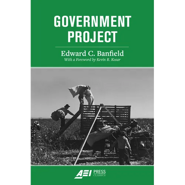 Government Project