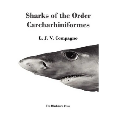 Sharks of the Order Carcharhiniformes