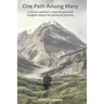One Path Among Many: a cancer patient's experiences and insights about his personal journey