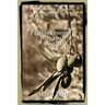 Poets From a War Torn World: A Critical Analysis of Modern Hebrew and Arabic Poetry